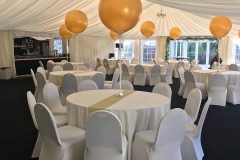 27072927_1074587129347957_9214956520525257669_n