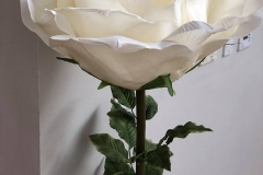 Giant rose